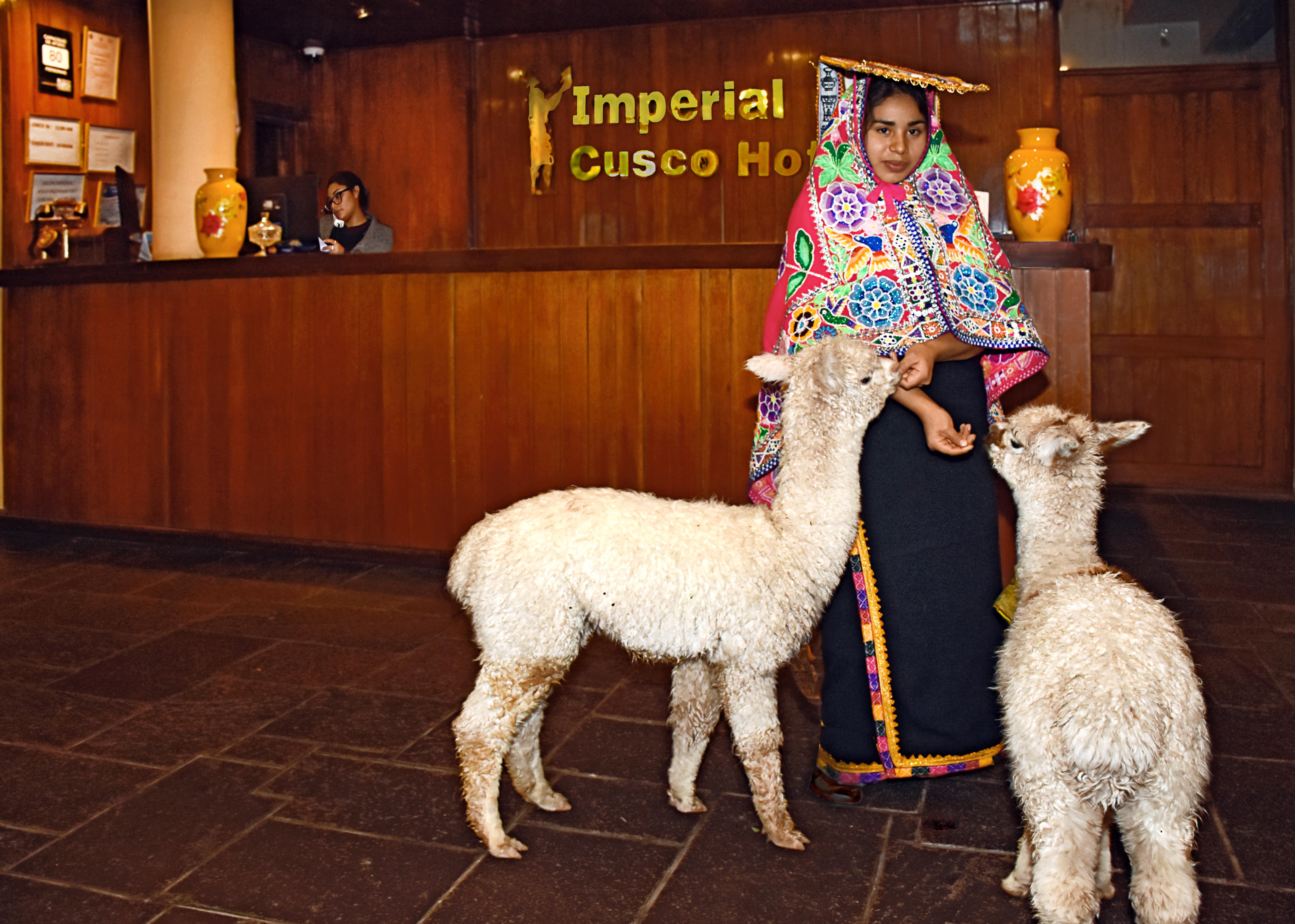 Imperial Cusco Hotel Kültér fotó