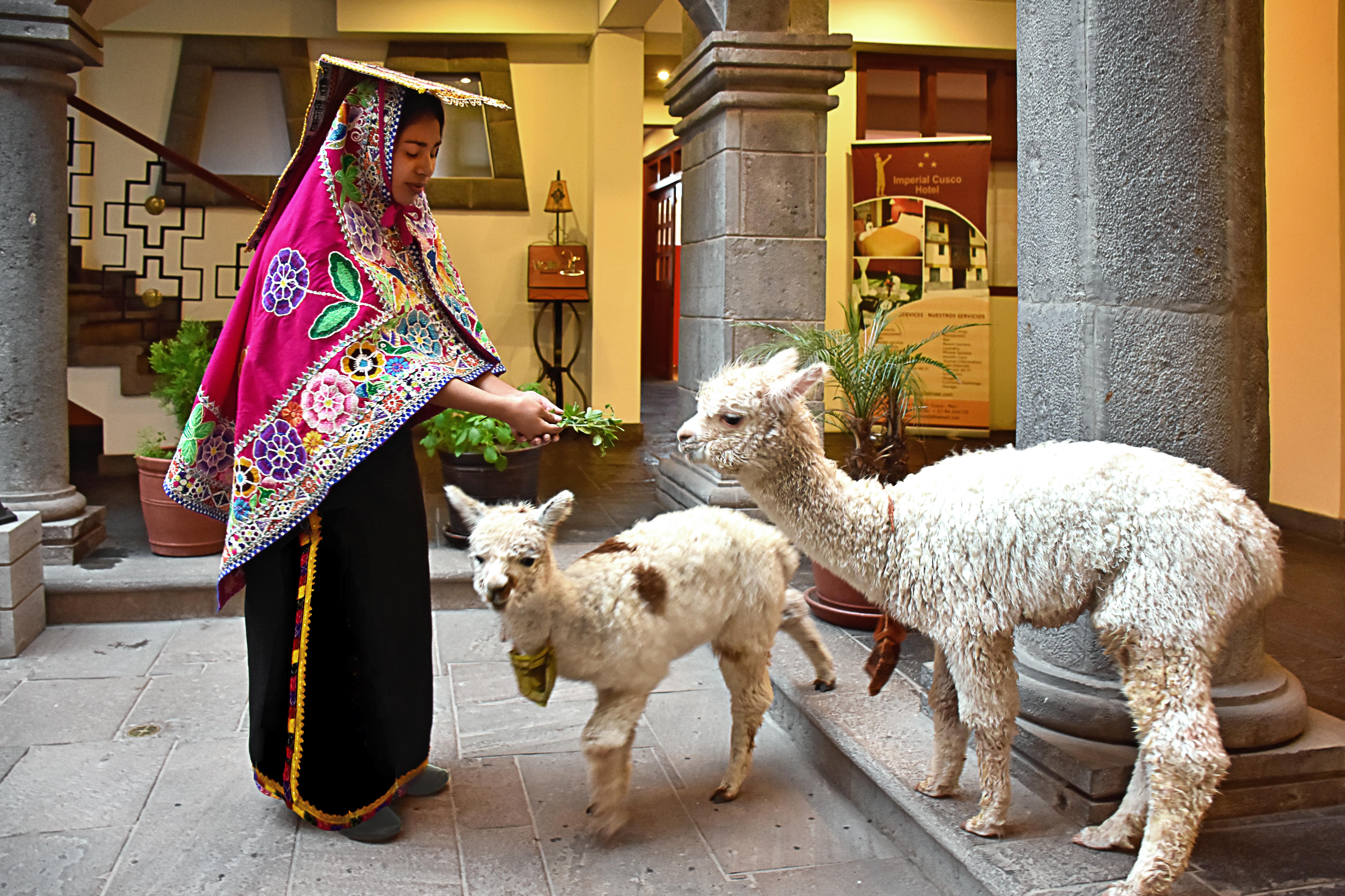 Imperial Cusco Hotel Kültér fotó